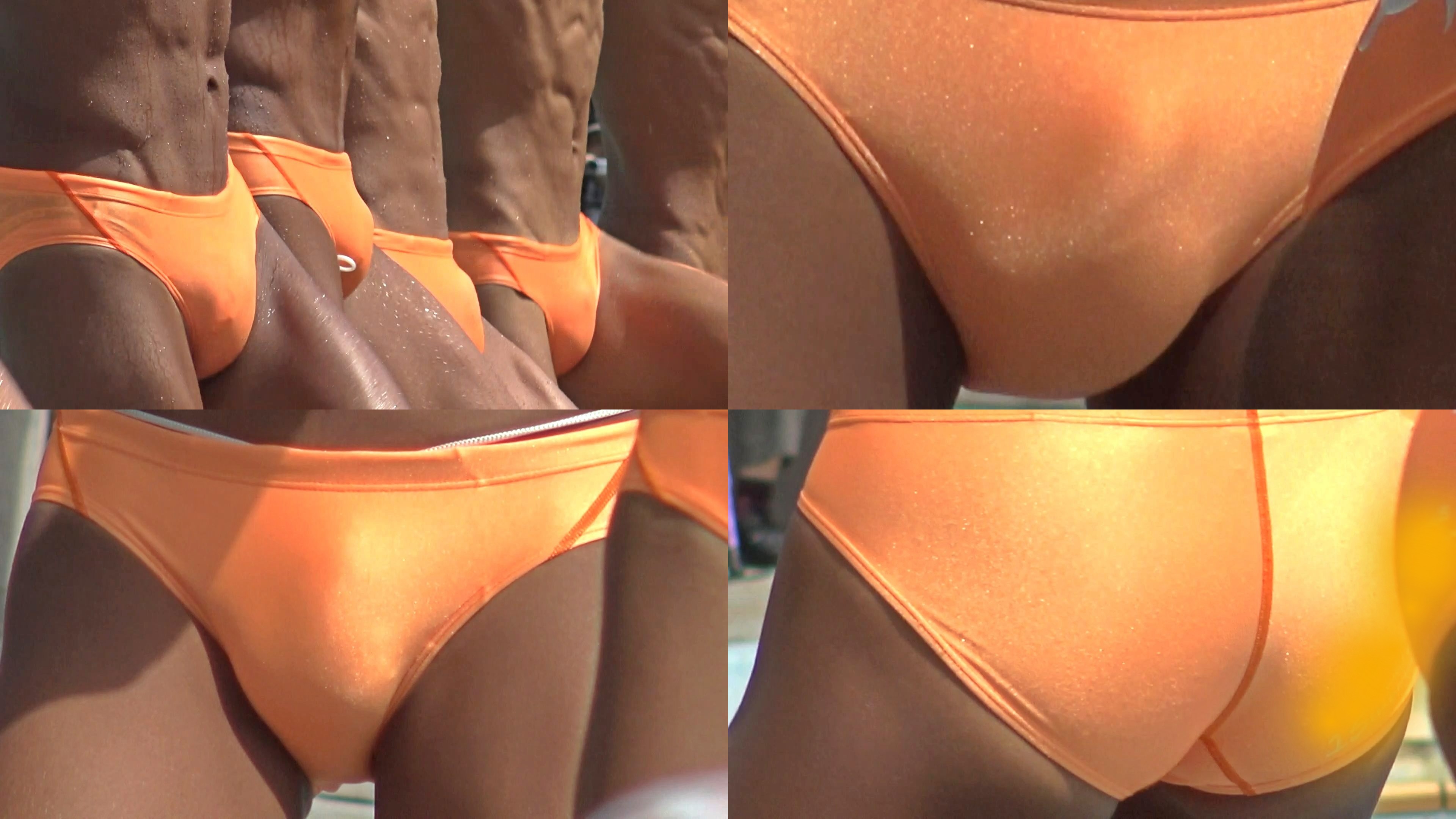 Speedo-arena-boys V16